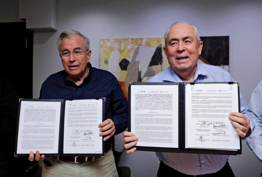 SEGALMEX adquirirá 137 mil toneladas de maíz blanco sinaloense: Rocha ...
